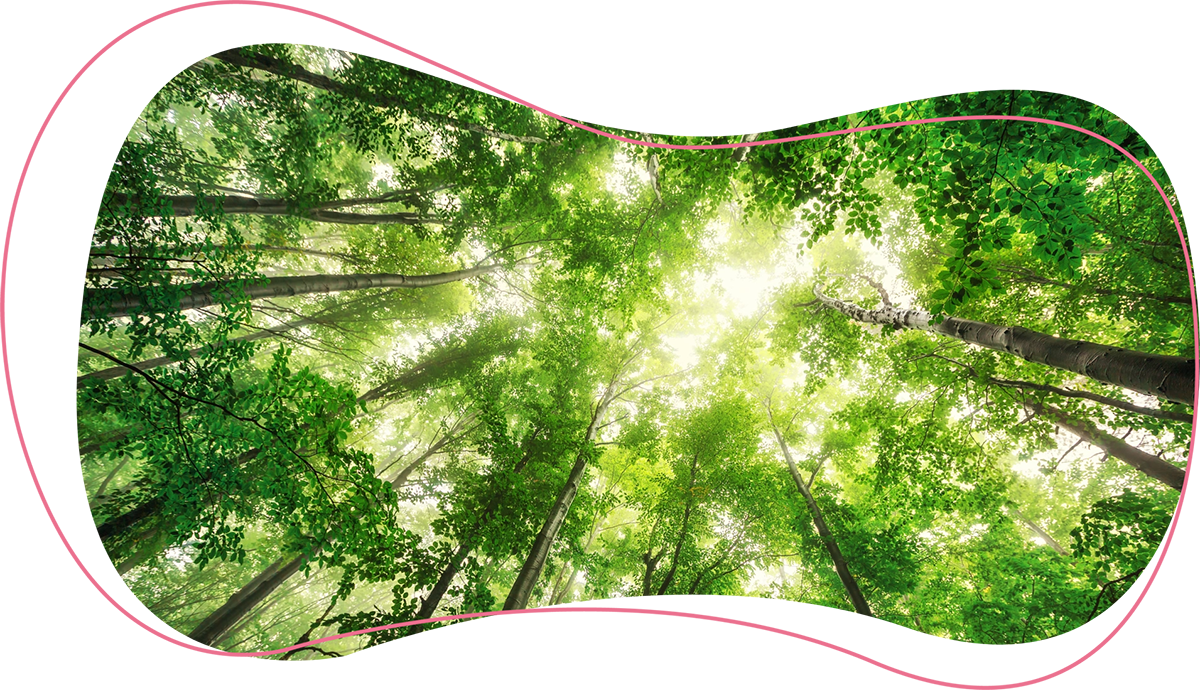 valeurs-foret2
